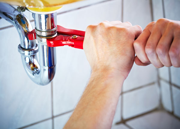 About Franktown Plumbers